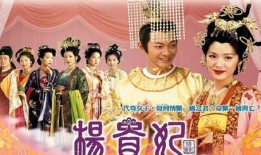 电视剧九五之尊,宫廷权谋与爱恨情仇的巅峰对决